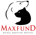 MaxFund